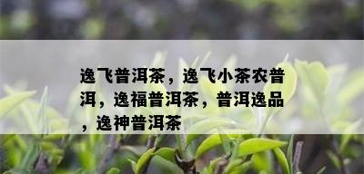 逸飞普洱茶，逸飞小茶农普洱，逸福普洱茶，普洱逸品，逸神普洱茶