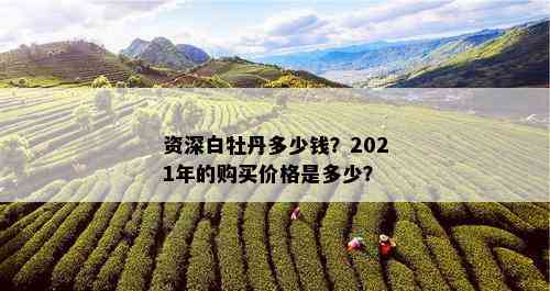 资深白牡丹多少钱？2021年的购买价格是多少？