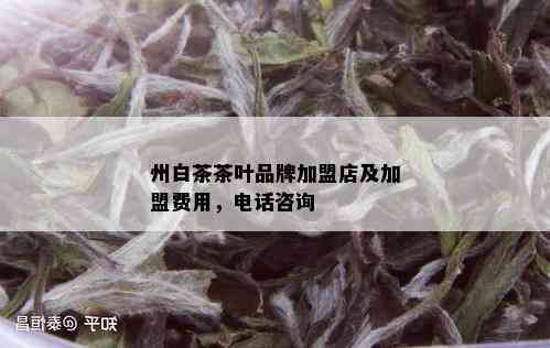 州白茶茶叶品牌加盟店及加盟费用，电话咨询