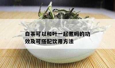 白茶可以和叶一起煮吗的功效及可搭配饮用方法