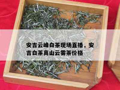 安吉云峰白茶现场直播，安吉白茶高山云雾茶价格