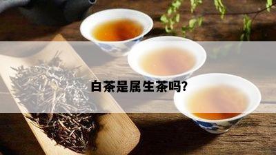 白茶是属生茶吗？