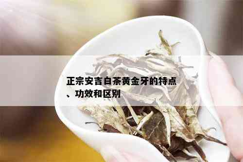 正宗安吉白茶黄金牙的特点、功效和区别