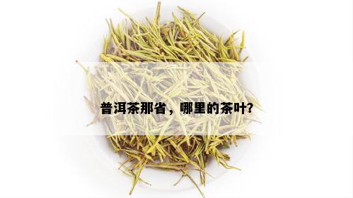 普洱茶那省，哪里的茶叶？