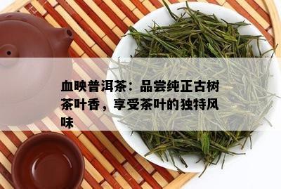 血映普洱茶：品尝纯正古树茶叶香，享受茶叶的独特风味