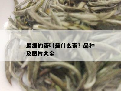 最细的茶叶是什么茶？品种及图片大全