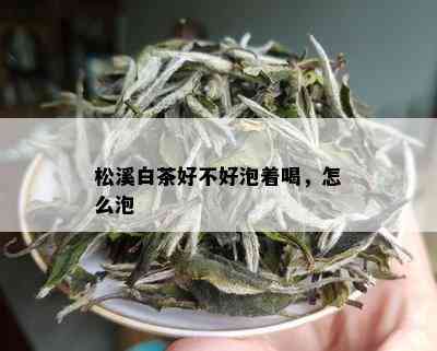 松溪白茶好不好泡着喝，怎么泡