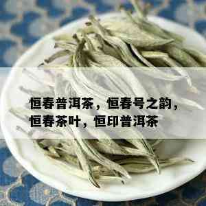 恒春普洱茶，恒春号之韵，恒春茶叶，恒印普洱茶