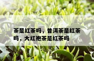 茶是红茶吗，普洱茶是红茶吗，大红袍茶是红茶吗