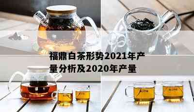 福鼎白茶形势2021年产量分析及2020年产量