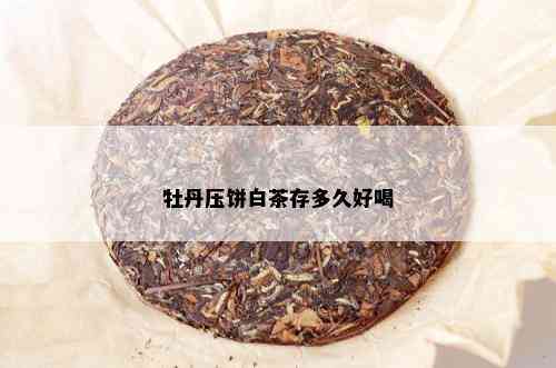 牡丹压饼白茶存多久好喝