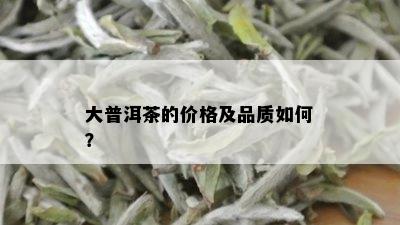 大普洱茶的价格及品质如何？