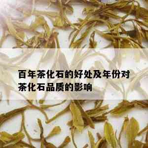 百年茶化石的好处及年份对茶化石品质的影响