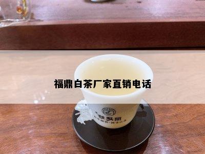 福鼎白茶厂家直销电话