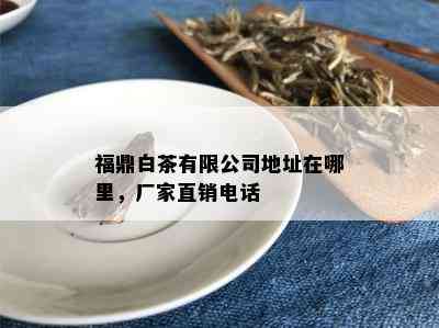 福鼎白茶有限公司地址在哪里，厂家直销电话