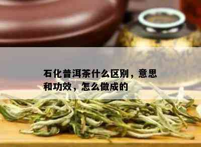 石化普洱茶什么区别，意思和功效，怎么做成的