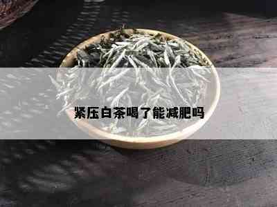 紧压白茶喝了能减肥吗