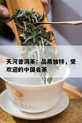 天河普洱茶：品质独特，受欢迎的中国名茶