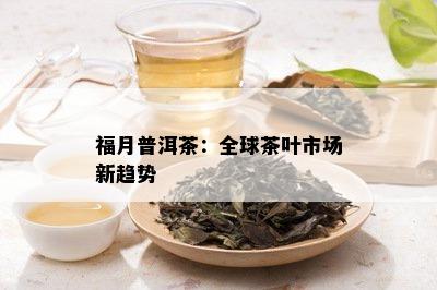 福月普洱茶：全球茶叶市场新趋势