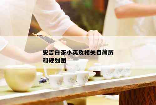 安吉白茶小英及相关目简历和规划图