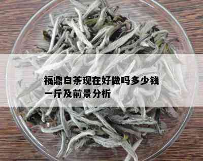 福鼎白茶现在好做吗多少钱一斤及前景分析