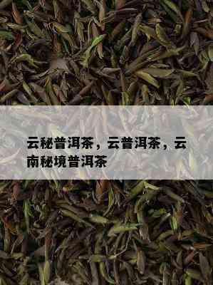 云秘普洱茶，云普洱茶，云南秘境普洱茶