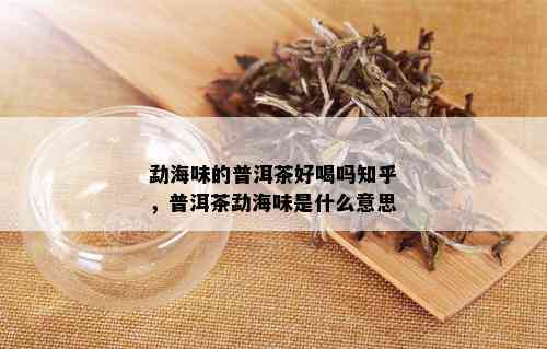 勐海味的普洱茶好喝吗知乎，普洱茶勐海味是什么意思