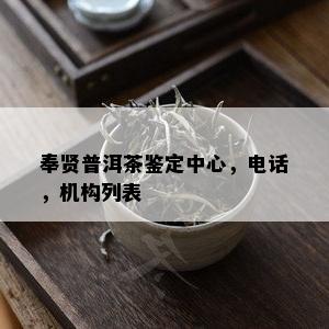 奉贤普洱茶鉴定中心，电话，机构列表