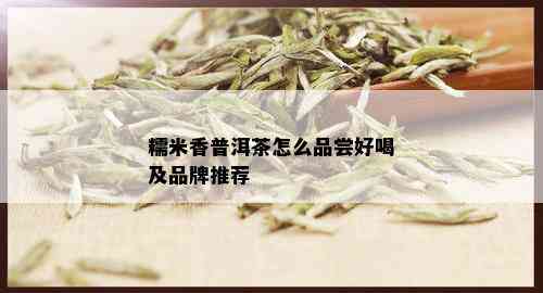 糯米香普洱茶怎么品尝好喝及品牌推荐