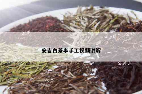 安吉白茶半手工视频讲解