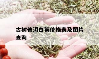 古树普洱白茶价格表及图片查询