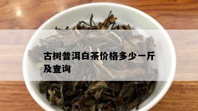 古树普洱白茶价格多少一斤及查询