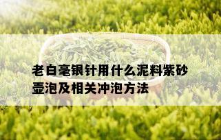 老白毫银针用什么泥料紫砂壶泡及相关冲泡方法