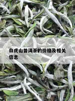 白虎山普洱茶的价格及相关信息