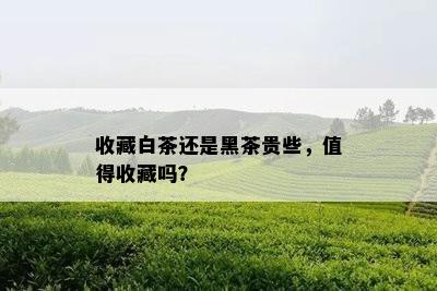 收藏白茶还是黑茶贵些，值得收藏吗？