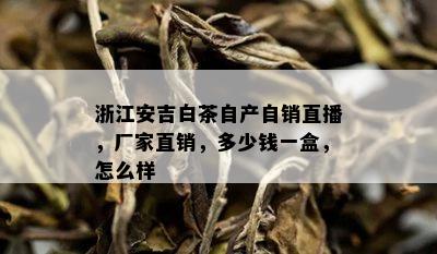 浙江安吉白茶自产自销直播，厂家直销，多少钱一盒，怎么样