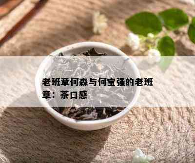 老班章何森与何宝强的老班章：茶口感