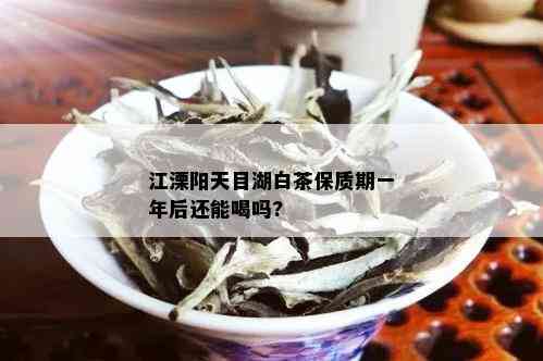 江溧阳天目湖白茶保质期一年后还能喝吗?