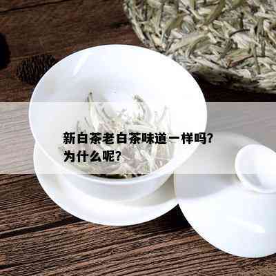 新白茶老白茶味道一样吗？为什么呢？