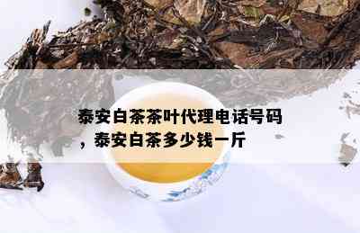 泰安白茶茶叶代理电话号码，泰安白茶多少钱一斤