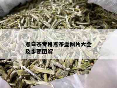 煮白茶专用煮茶壶图片大全及步骤图解