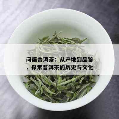 问渠普洱茶：从产地到品鉴，探索普洱茶的历史与文化