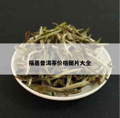 福嘉普洱茶价格图片大全