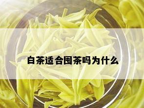 白茶适合囤茶吗为什么