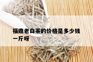 福鼎老白茶的价格是多少钱一斤呀