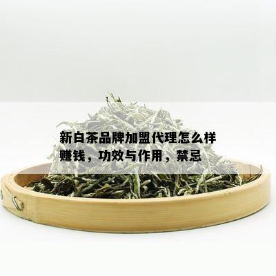 新白茶品牌加盟代理怎么样赚钱，功效与作用，禁忌