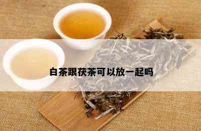 白茶跟茯茶可以放一起吗