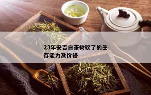 23年安吉白茶树砍了的生存能力及价格