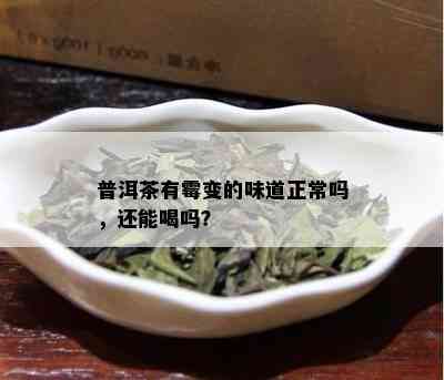 普洱茶有霉变的味道正常吗，还能喝吗？