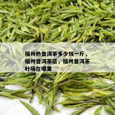 福州熟普洱茶多少钱一斤，福州普洱茶店，福州普洱茶叶场在哪里